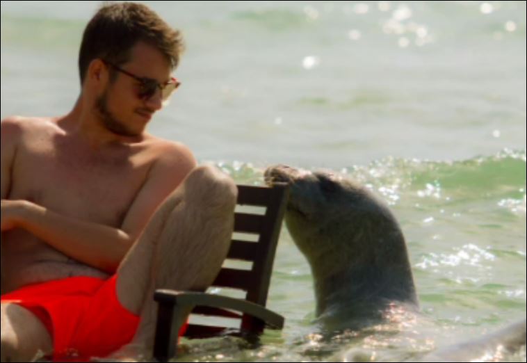 “Αργυρώ” η μασκότ της Σάμου – ΒΙΝΤΕΟ