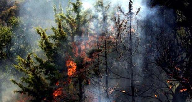 Παραλίγο να καούν ζωντανοί πυροσβέστες στην Κρήτη