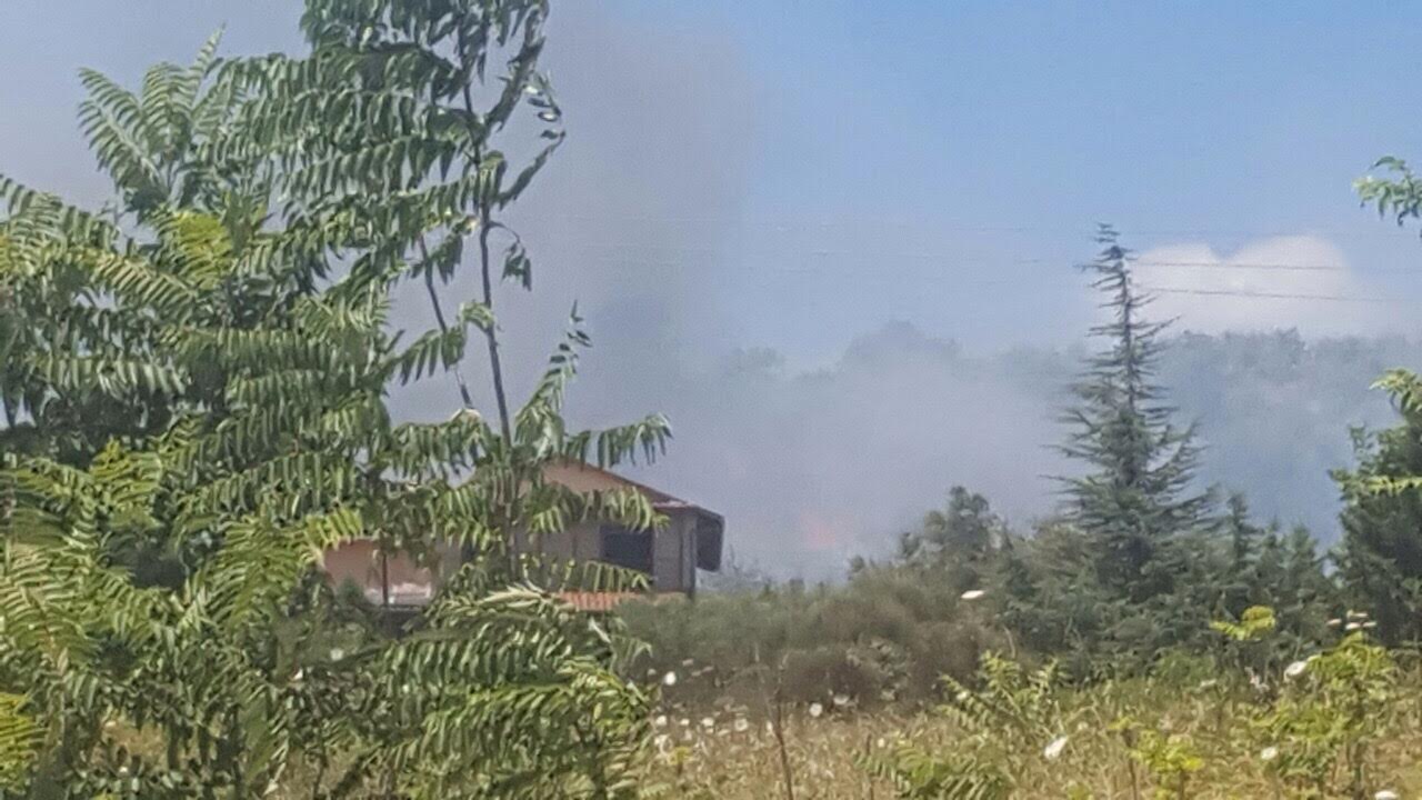 Φωτιά στη Βέροια – Έφτασαν μέχρι τις αυλές των σπιτιών οι φλόγες – ΦΩΤΟ