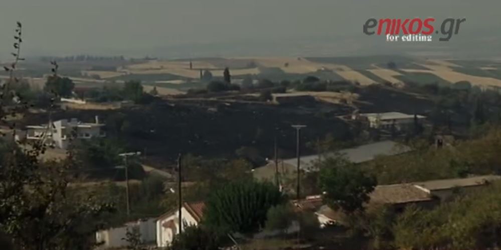 Στις αυλές των σπιτιών έφτασαν οι φλόγες στις Ερυθρές Αττικής – ΒΙΝΤΕΟ