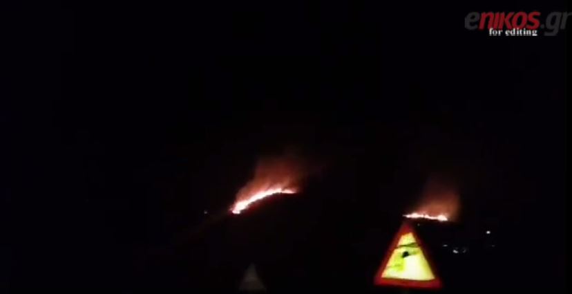 Σε εξέλιξη πυρκαγιά στην Τζια – Δείτε το ΒΙΝΤΕΟ αναγνώστη