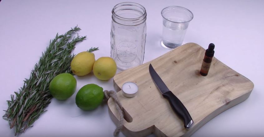 Κρατήστε μακριά τα κουνούπια με φυσικό τρόπο – ΒΙΝΤΕΟ