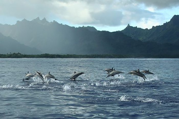 perierga.gr - Παραμυθένιο ιδιωτικό νησί χαρίζεται έναντι 49 δολαρίων!