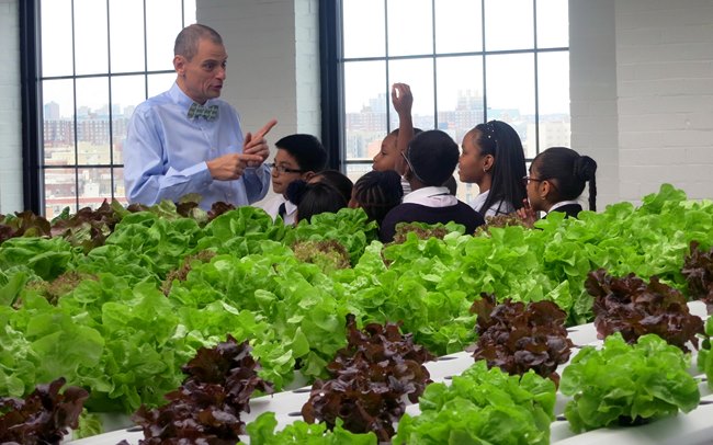 perierga.gr - Μια σχολική τάξη για... φάγωμα!