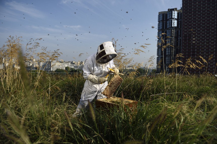 perierga.gr - Ασυνήθιστες ταράτσες στον κόσμο! perierga.gr - Ασυνήθιστες ταράτσες στον κόσμο!