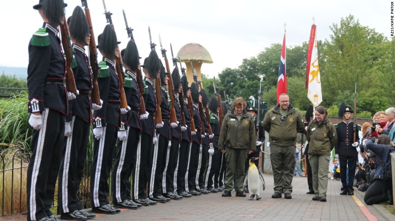 Η αντίδραση του πιγκουίνου που προήχθη σε… ταξίαρχο – ΒΙΝΤΕΟ