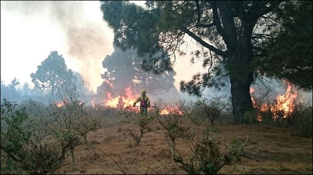 Πύρινος εφιάλτης με έναν νεκρό στα Κανάρια Νησιά – ΦΩΤΟ