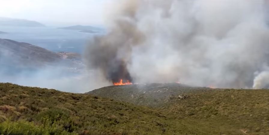 Μάχη με τις φλόγες δίνουν οι πυροσβέστες στην Κάρυστο – ΒΙΝΤΕΟ