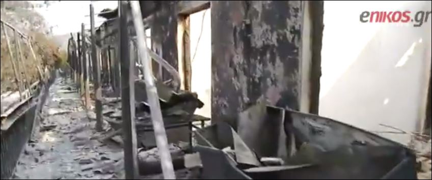 Από αντιπυρική ζώνη 70 μέτρων πέρασε η φωτιά στη Β. Εύβοια – Μαρτυρίες για την καταστροφή – ΒΙΝΤΕΟ