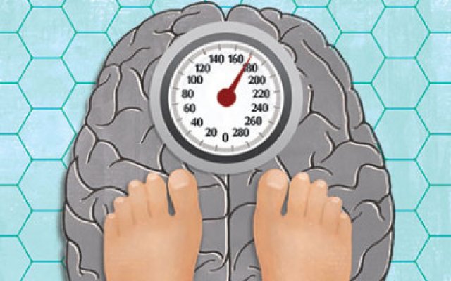 Σε τι διαφέρει ο εγκέφαλος των παχύσαρκων από των αδύνατων;