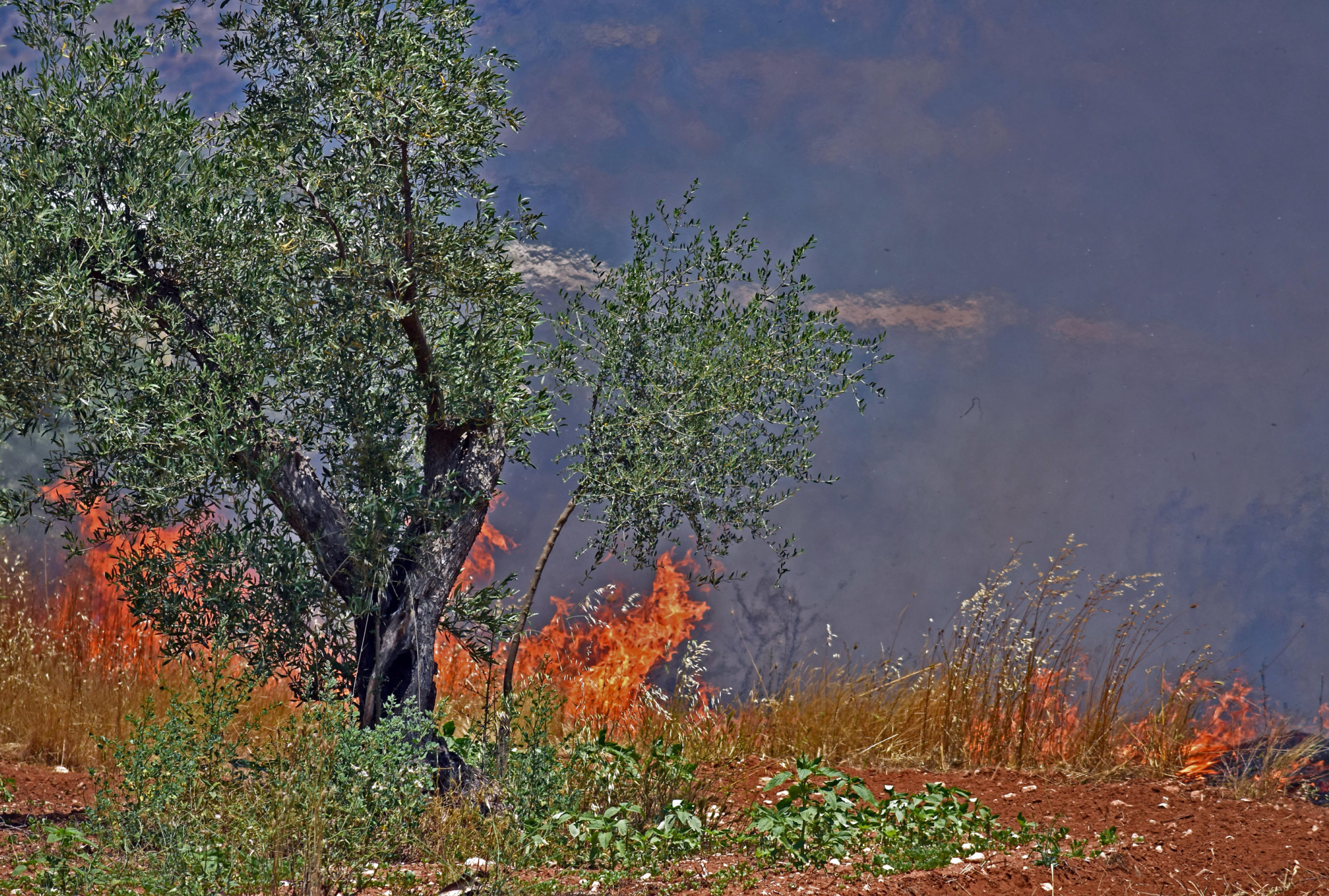 Σε εξέλιξη πυρκαγιά στην Κρήτη