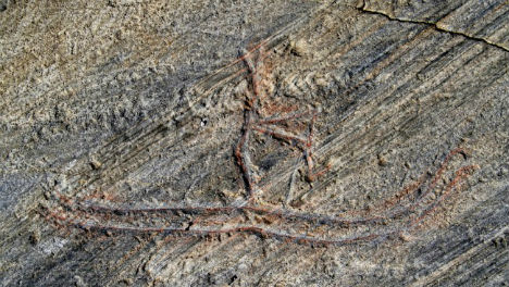 Έφηβοι κατέστρεψαν επιγραφή 5.000 ετών στη Νορβηγία – ΦΩΤΟ