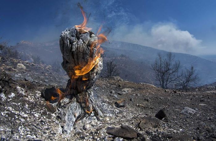 Φωτιά στην Έξω Χώρα Ζακύνθου