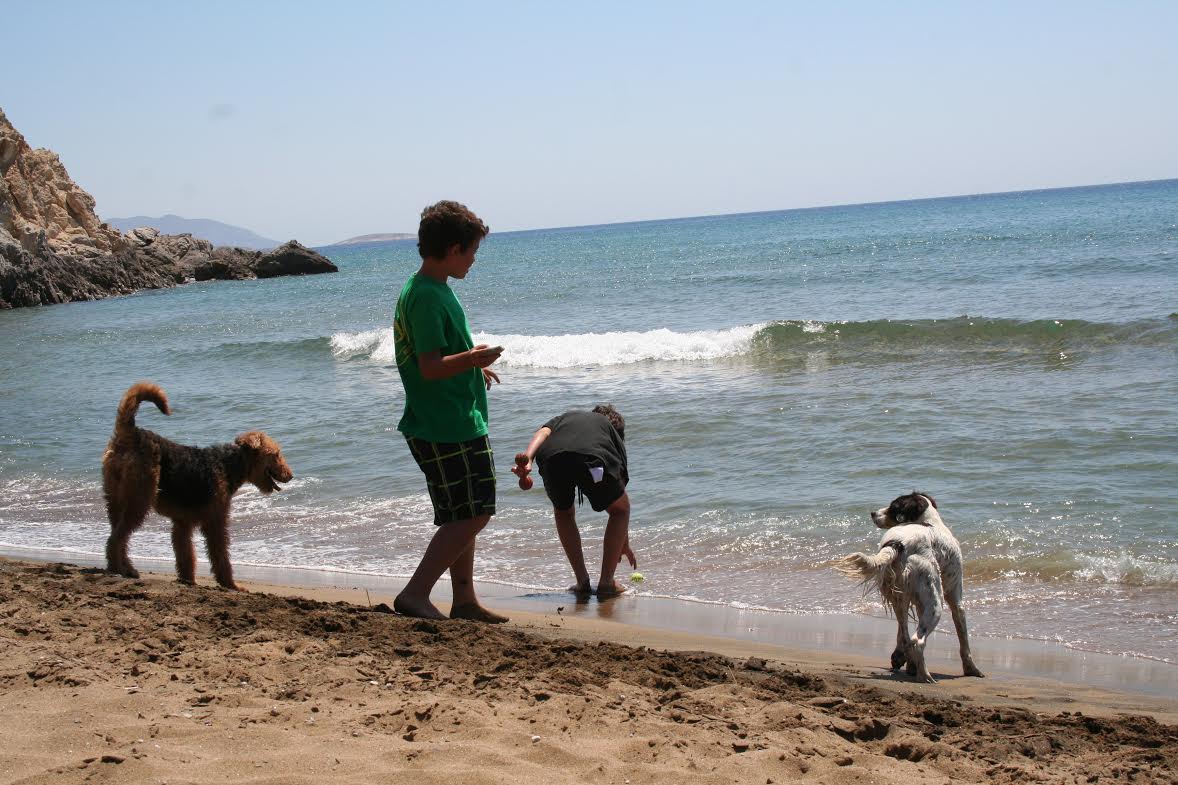 Διακοπές με τον σκύλο μου, τι πρέπει να γνωρίζω;