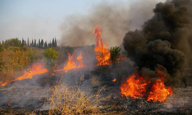 Κρήτη – Ολονύχτια η μάχη των πυροσβεστών κοντά στο Ελαφονήσι