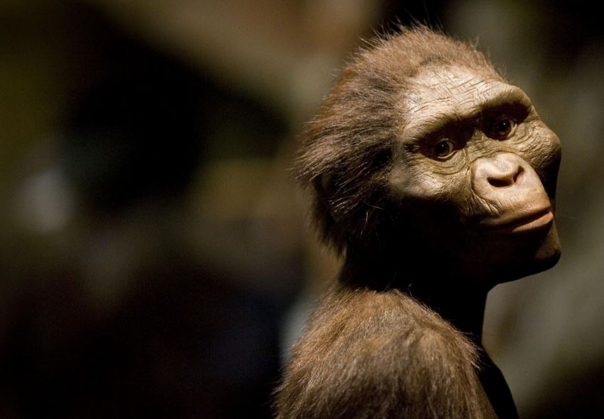 Έτσι σκοτώθηκε ο πιο γνωστός Αυστραλοπίθηκος στον κόσμο