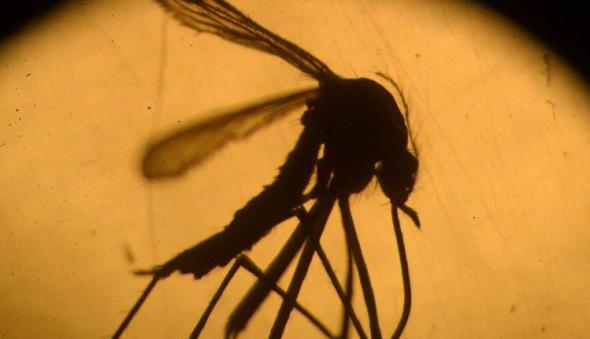 Σε κατάσταση έκτακτης ανάγκης το Πουέρτο Ρίκο – Εξαπλώνεται ο ιός Ζίκα