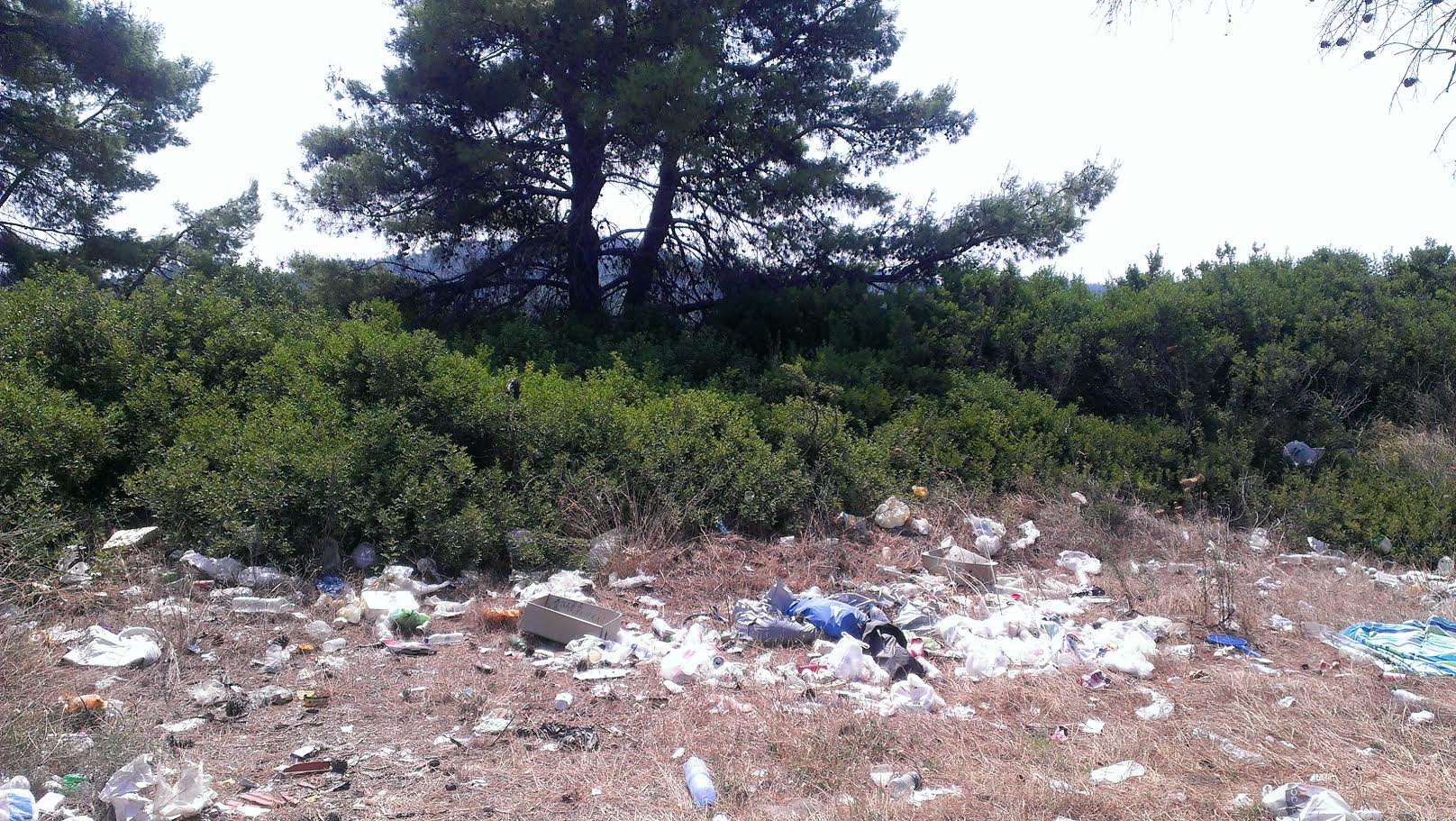 Εικόνες ντροπής σε παραλία της Χαλκιδικής – ΦΩΤΟ