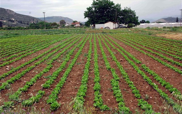 Δηλώνονται ξανά στο E9 τα αγροτεμάχια για τον ΕΝΦΙΑ
