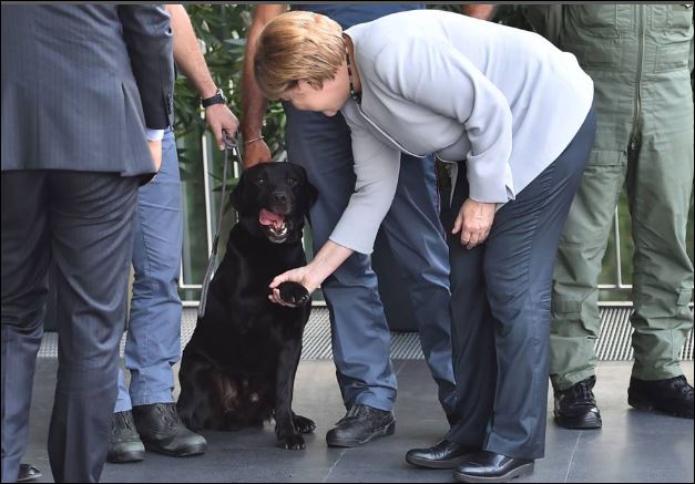 Ο σκύλος που έκλεψε την καρδιά της Μέρκελ – ΦΩΤΟ