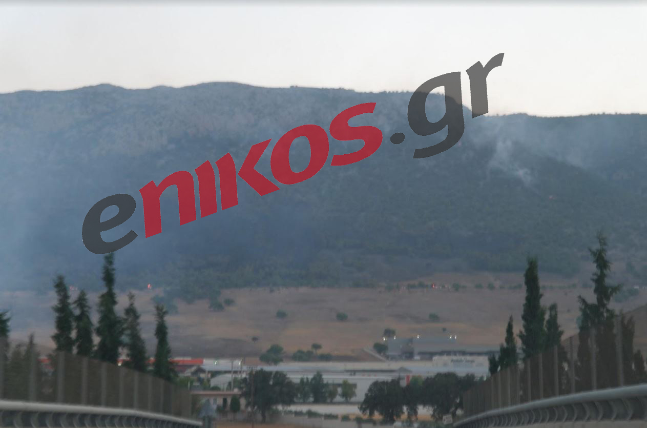 Χωρίς ενεργό μέτωπο η πυρκαγιά στον Ασπρόπυργο