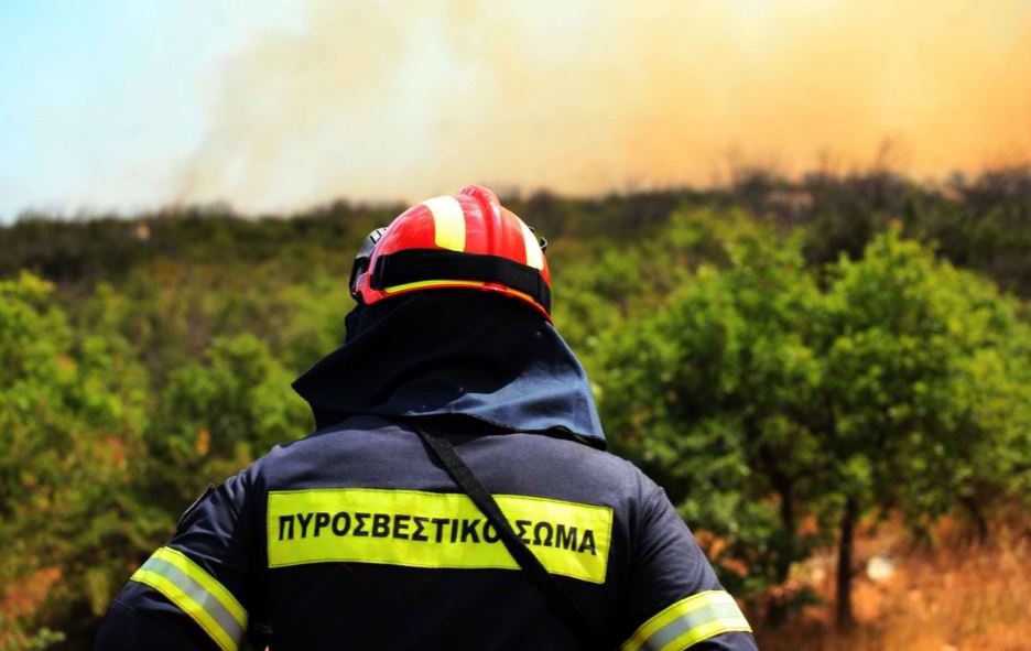 Πυρκαγιά στη Στροφιλιά Αναβύσσου