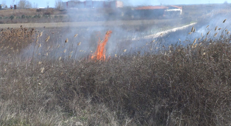 Πυρκαγιά απείλησε σπίτια στην Ξάνθη – ΦΩΤΟ