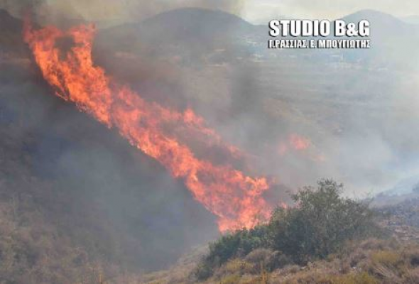 Ναύπλιο – Υπό μερικό έλεγχο η φωτιά στα Λευκάκια