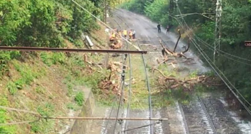 Περισσότεροι από 50 τραυματίες στο σιδηροδρομικό ατύχημα της Γαλλίας – ΦΩΤΟ