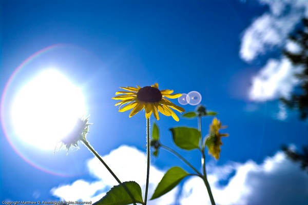 Τι καιρό θα κάνει σήμερα – Αναλυτική πρόγνωση