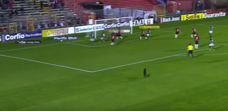 Σκύλος πήρε στο κυνήγι παίκτη στη Βραζιλία – ΒΙΝΤΕΟ