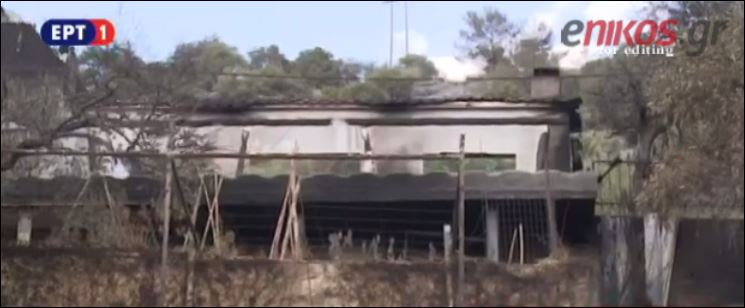 Καλύτερη η κατάσταση στα πύρινα μέτωπα της Θάσου – ΒΙΝΤΕΟ