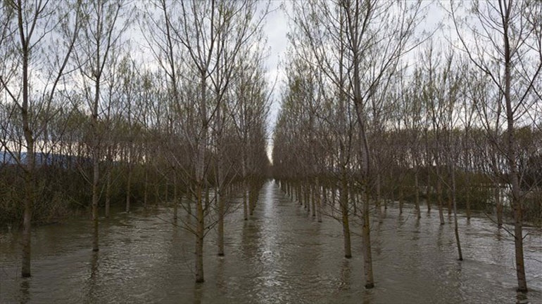 Νεκρός ανασύρθηκε ψαράς από τον Στρυμόνα