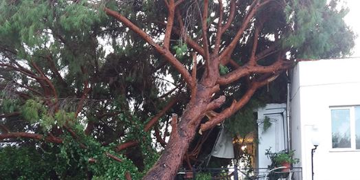 Σοβαρές καταστροφές από την κακοκαιρία στον Πύργο – ΦΩΤΟ