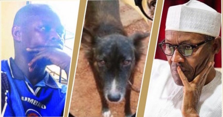 Νιγηρία – Το όνομα του σκύλου του θα τον οδηγήσει στο δικαστήριο