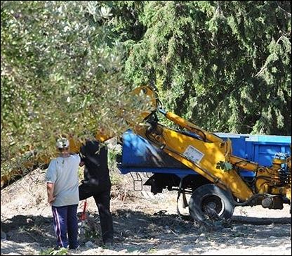 Έθαψαν τον Μπεν κάτω από δέντρο; Η φωτογραφία δέκα ημέρες μετά την εξαφάνισή του – ΒΙΝΤΕΟ