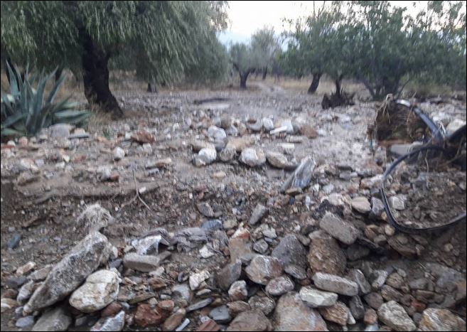 Αμέτρητα προβλήματα λόγω κακοκαιρίας στους Μολάους – ΦΩΤΟ