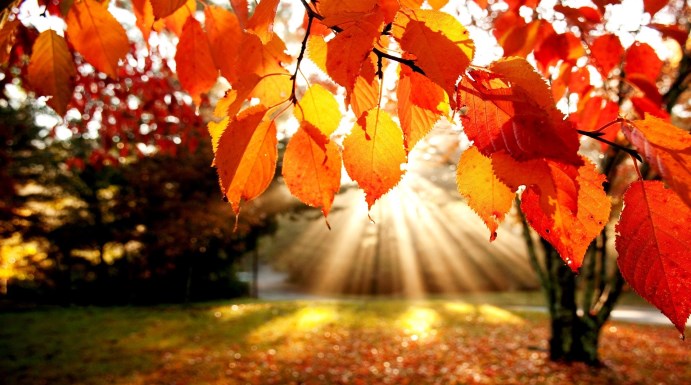 Αφιερωμένο στην φθινοπωρινή ισημερία το google doodle