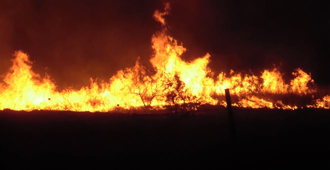 Κάηκαν σπίτια στη Θάσο – Απειλείται αυτή την ώρα το χωριό Θεολόγος