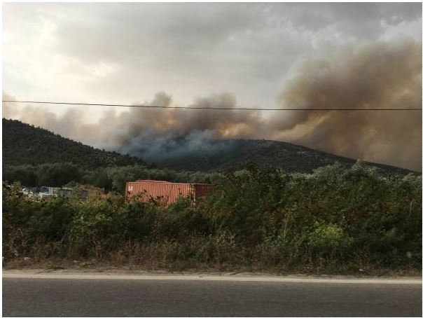 Μάχη με τις φλόγες δίνουν για δεύτερη μέρα κάτοικοι και πυροσβέστες στη Θάσο – ΒΙΝΤΕΟ