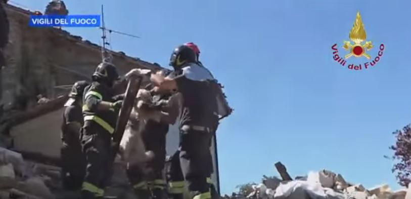 Σκύλος επέζησε 9 ημέρες στα συντρίμμια στο Αματρίτσε – ΒΙΝΤΕΟ