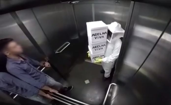 Επική φάρσα – “Φονικές” μέλισσες στο ασανσέρ – ΒΙΝΤΕΟ