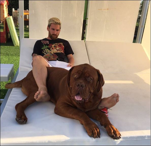 Κλέβει τις εντυπώσεις ο τεράστιος σκύλος του Μέσι – ΦΩΤΟ