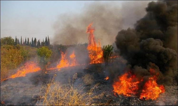 Σε εξέλιξη φωτιά στην Κέρκυρα
