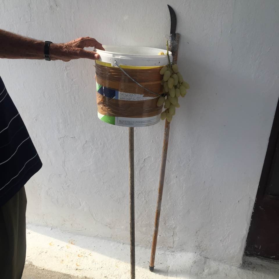 Σταφυλοκόφτης: Η πρωτότυπη πατέντα ενός Κρητικού – ΦΩΤΟ