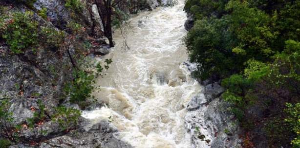 Νεκρός ο αγνοούμενος βοσκός στη Λακωνία – ΤΩΡΑ