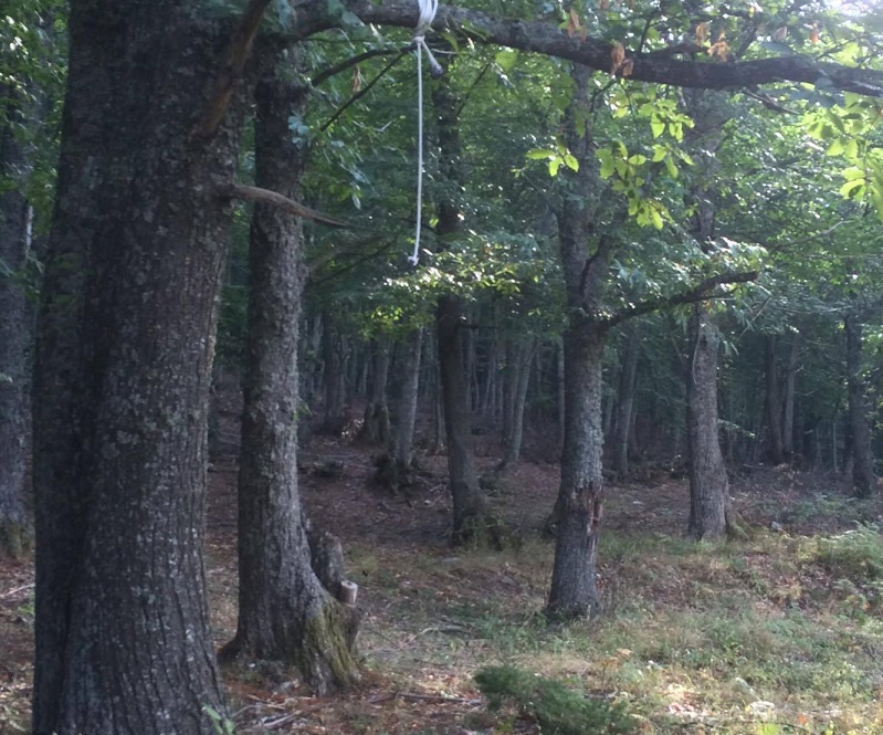 Τραγωδία στη Δονούσα: Απαγχονίστηκε ηλικιωμένος