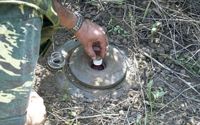 Πύργος – Βρήκε νάρκη στο χωράφι του – ΦΩΤΟ
