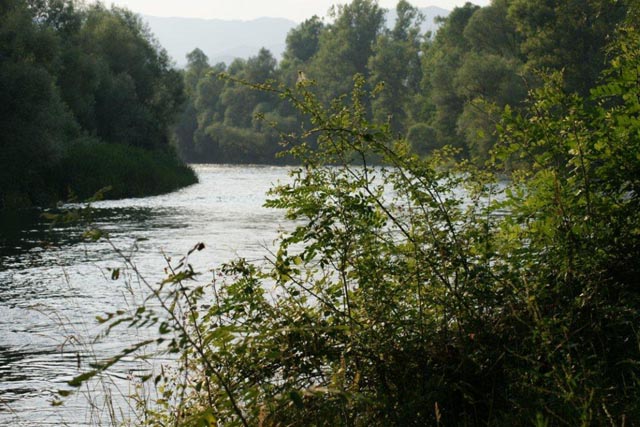 Βρέθηκε απολιθωμένο δάσος στον Εθνικό Πάρκο Ροδόπης