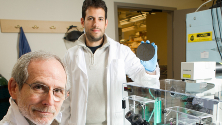 Έλληνας δημιούργησε τρισδιάστατο μοντέλο για τον εντοπισμό καρκινικών κυττάρων